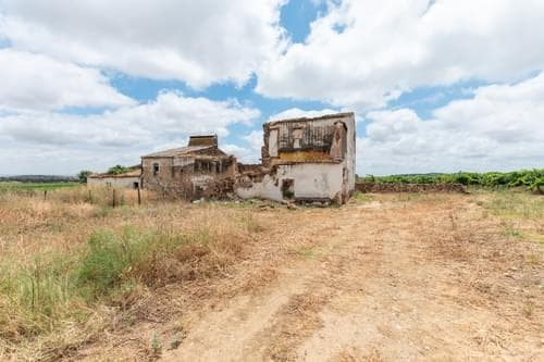 PF35250 - Terreno Misto 96.5 ha, Ciladas, Vila Viçosa - Imagem 10