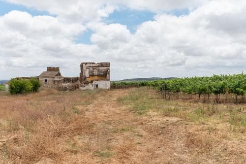 PF35250 - Terreno Misto 96.5 ha, Ciladas, Vila Viçosa - Imagem 11