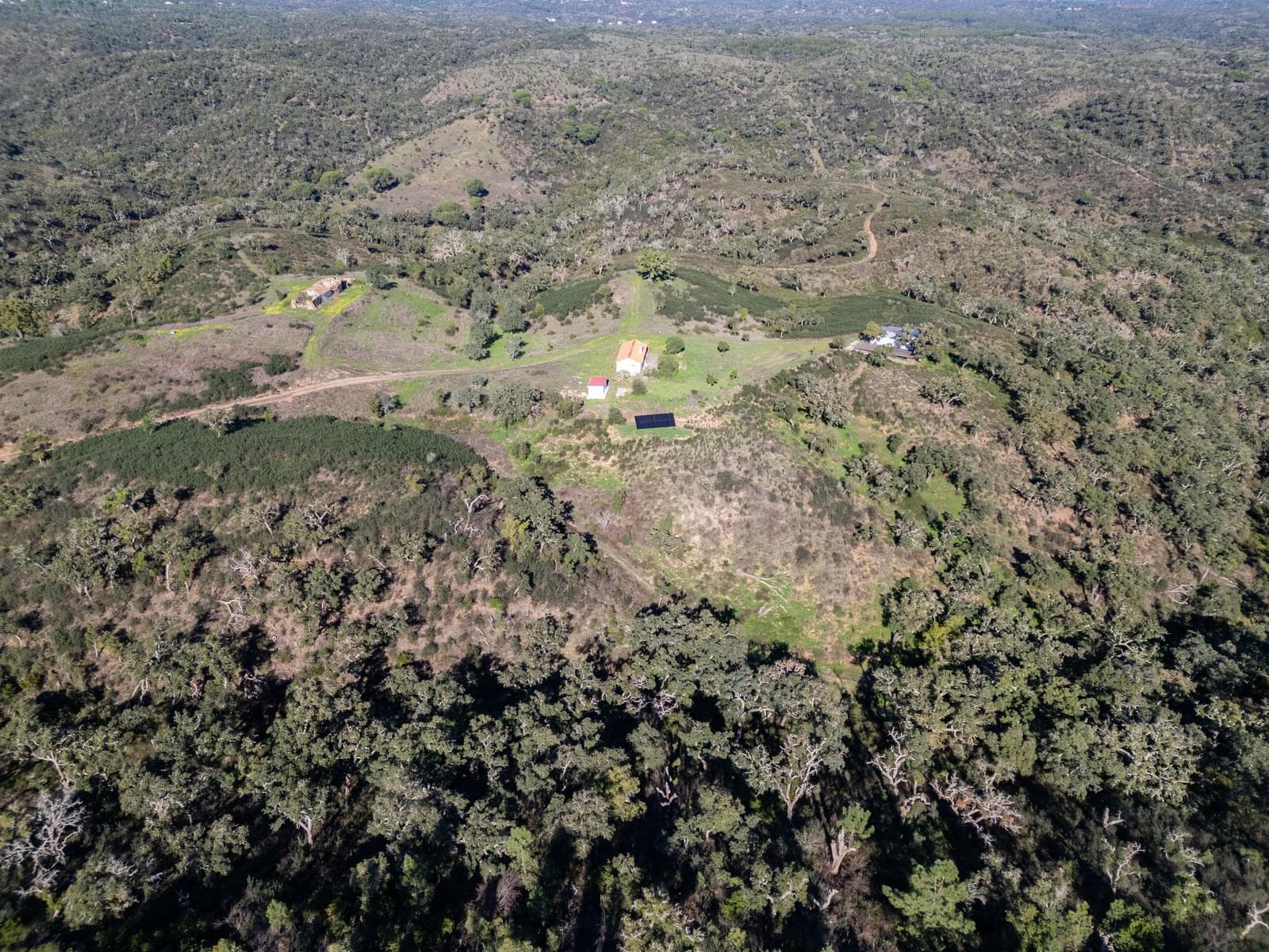 Terreno Misto 52.5 ha, São Bartolomeu da Serra, Santiago do Cacem - Imagem 3