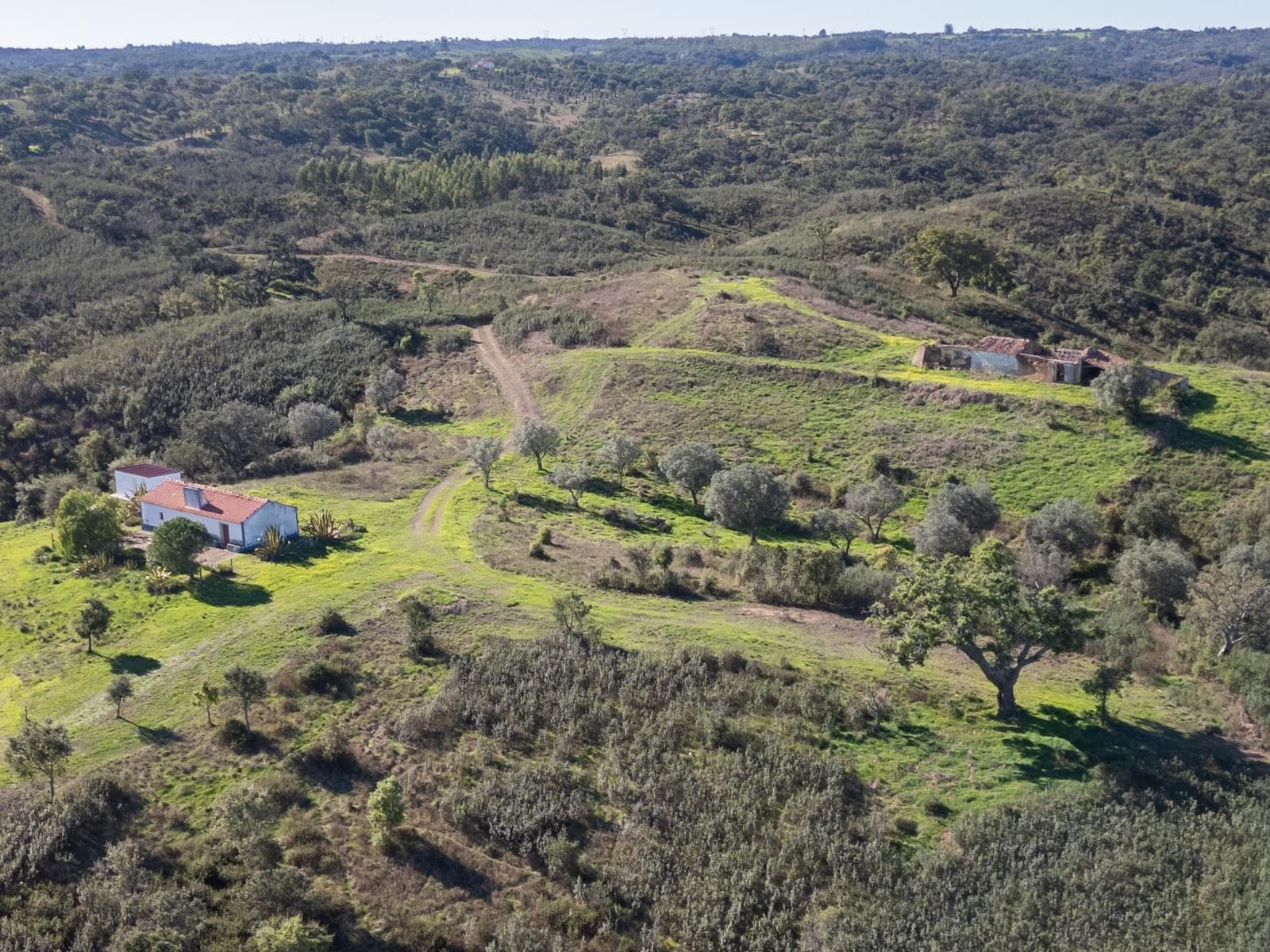 Terreno Misto 52.5 ha, São Bartolomeu da Serra, Santiago do Cacem - Imagem 1