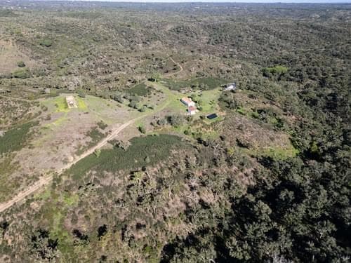 PF35254 - Terreno Misto 52.5 ha, São Bartolomeu da Serra, Santiago do Cacem - Imagem 2