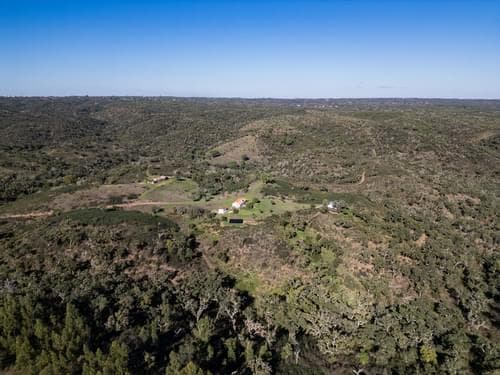 PF35254 - Terreno Misto 52.5 ha, São Bartolomeu da Serra, Santiago do Cacem - Imagem 5