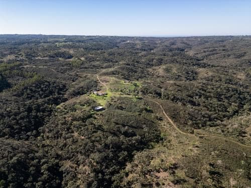 PF35254 - Terreno Misto 52.5 ha, São Bartolomeu da Serra, Santiago do Cacem - Imagem 7