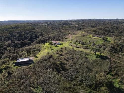 PF35254 - Terreno Misto 52.5 ha, São Bartolomeu da Serra, Santiago do Cacem - Imagem 10
