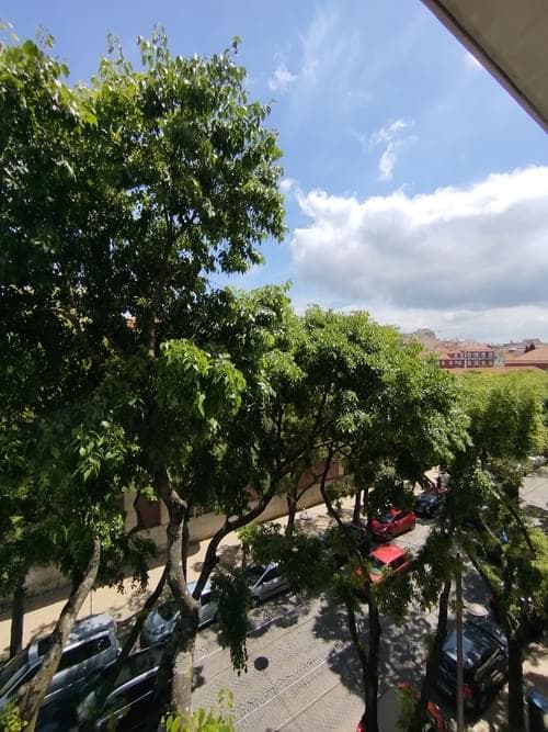 PF39887 - Appartement 3 pièces avec vue, Campo de Ourique, Lisboa - Image 20