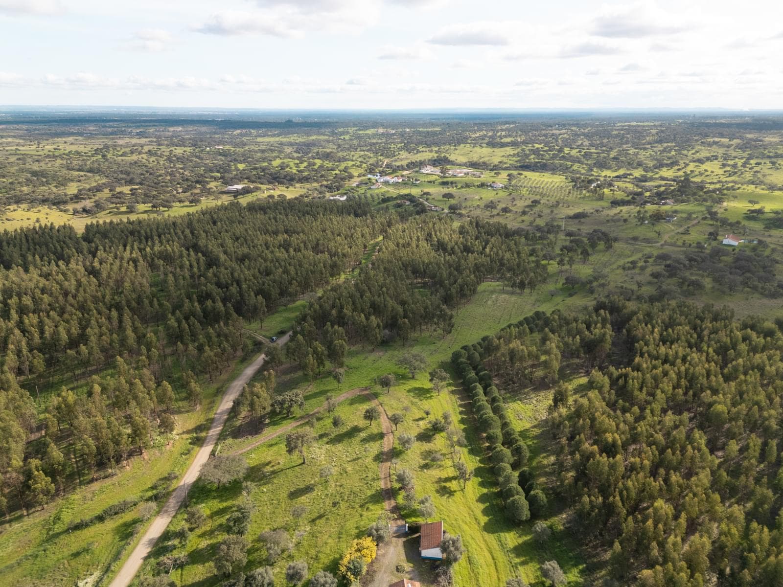 Terrain rustique 16.0 ha, Azinheira dos Barros, Grandola - Image 3