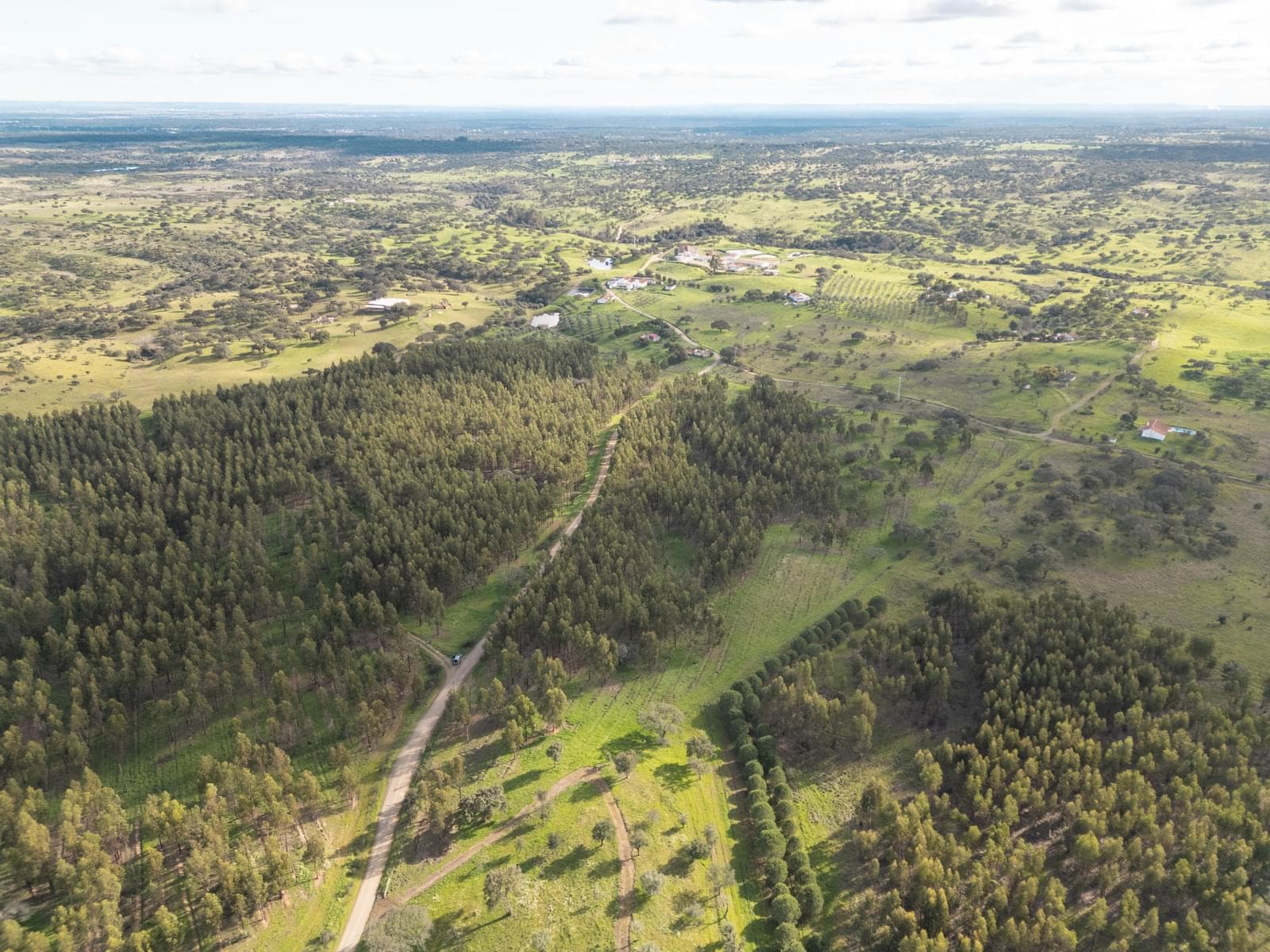 Terrain rustique 16.0 ha, Azinheira dos Barros, Grandola - Image 4