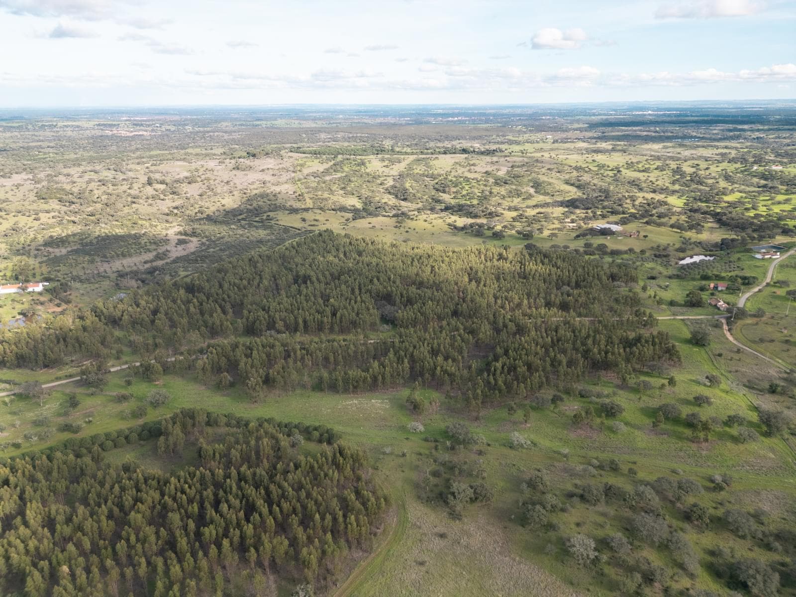 Terrain rustique 16.0 ha, Azinheira dos Barros, Grandola - Image 6