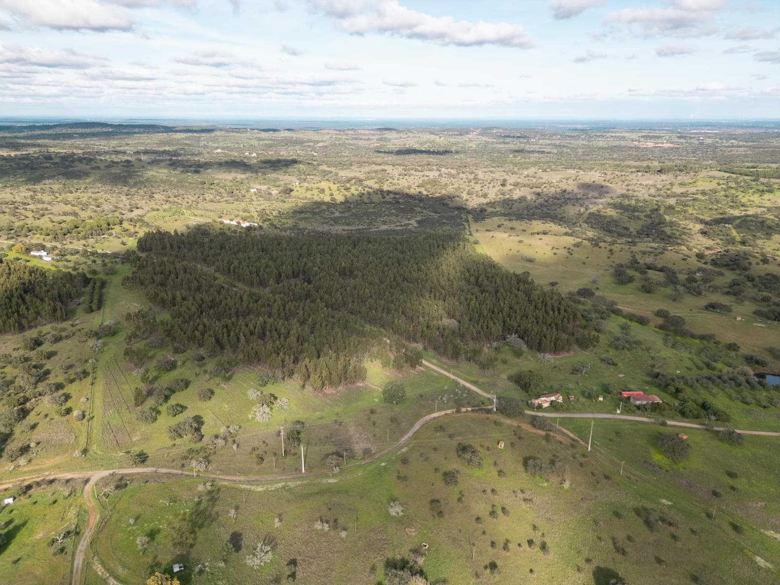 Terrain rustique 16.0 ha, Azinheira dos Barros, Grandola - Image 8