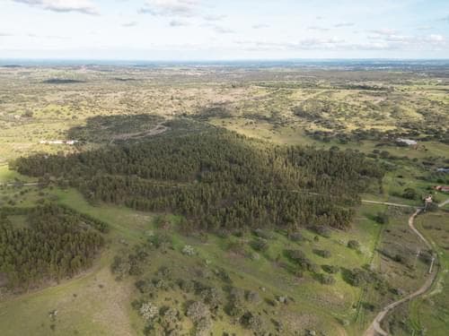 PF35558 - Terreno Rústico 16.0 ha, Azinheira dos Barros, Grandola - Imagem 7