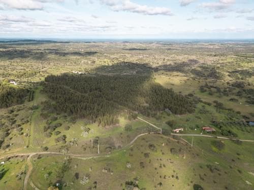 PF35558 - Terreno Rústico 16.0 ha, Azinheira dos Barros, Grandola - Imagem 8