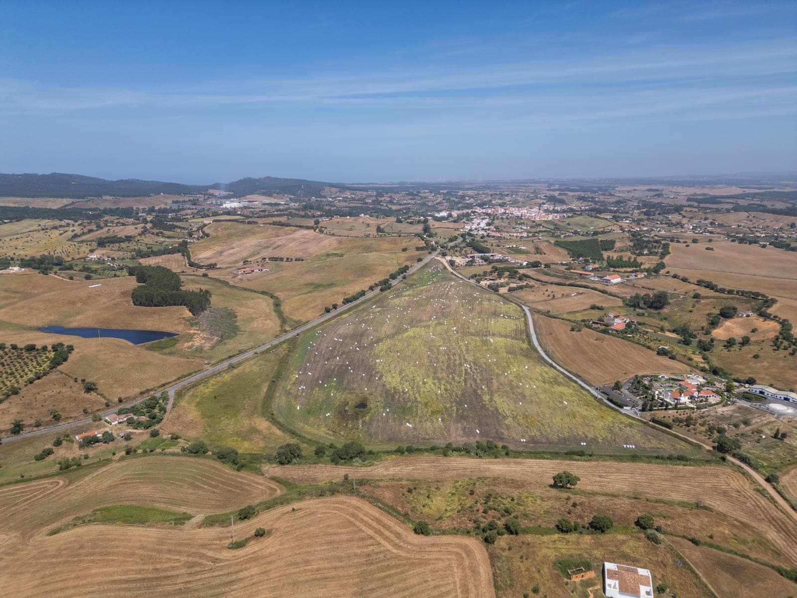 Terreno Rústico 17.9 ha, Cercal do Alentejo, Santiago do Cacem - Imagem 7