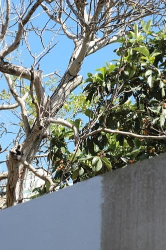 PF35797 - Apartamento T2, Lisboa - Imagem 24