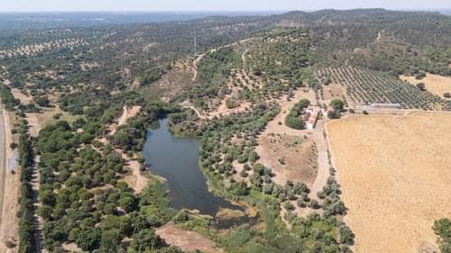PF35903 - Herdade 4.0 ha, Álcacer do Sal, Alcacer do Sal - Imagem 34