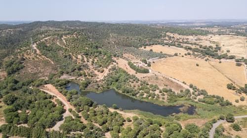 PF35903 - Herdade 4.0 ha, Álcacer do Sal, Alcacer do Sal - Imagem 36