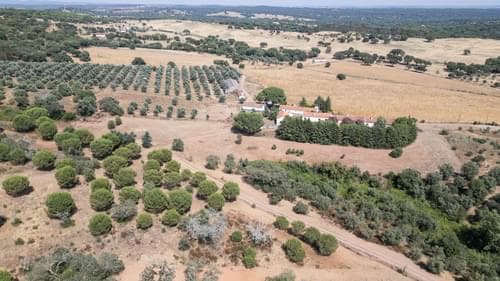PF35903 - Herdade 4.0 ha, Álcacer do Sal, Alcacer do Sal - Imagem 39