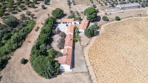 PF35903 - Herdade 4.0 ha, Álcacer do Sal, Alcacer do Sal - Imagem 32