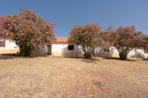 PF35903 - Herdade 4.0 ha, Álcacer do Sal, Alcacer do Sal - Imagem 28