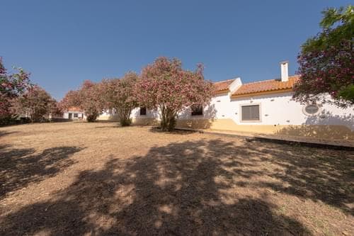 PF35903 - Herdade 4.0 ha, Álcacer do Sal, Alcacer do Sal - Imagem 30