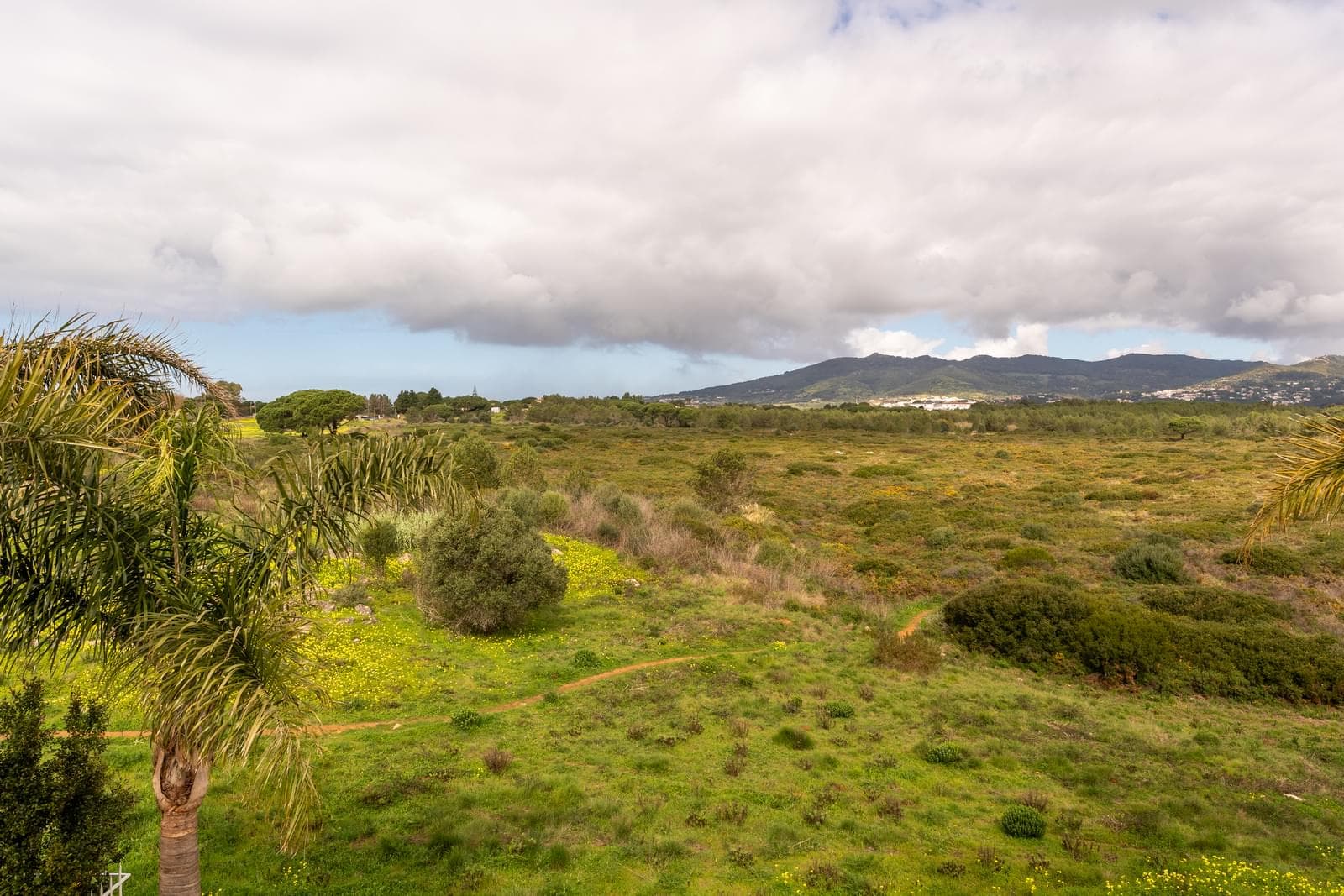 4 Bedroom Detached house with swimming pool, Areia, Cascais - Image 27