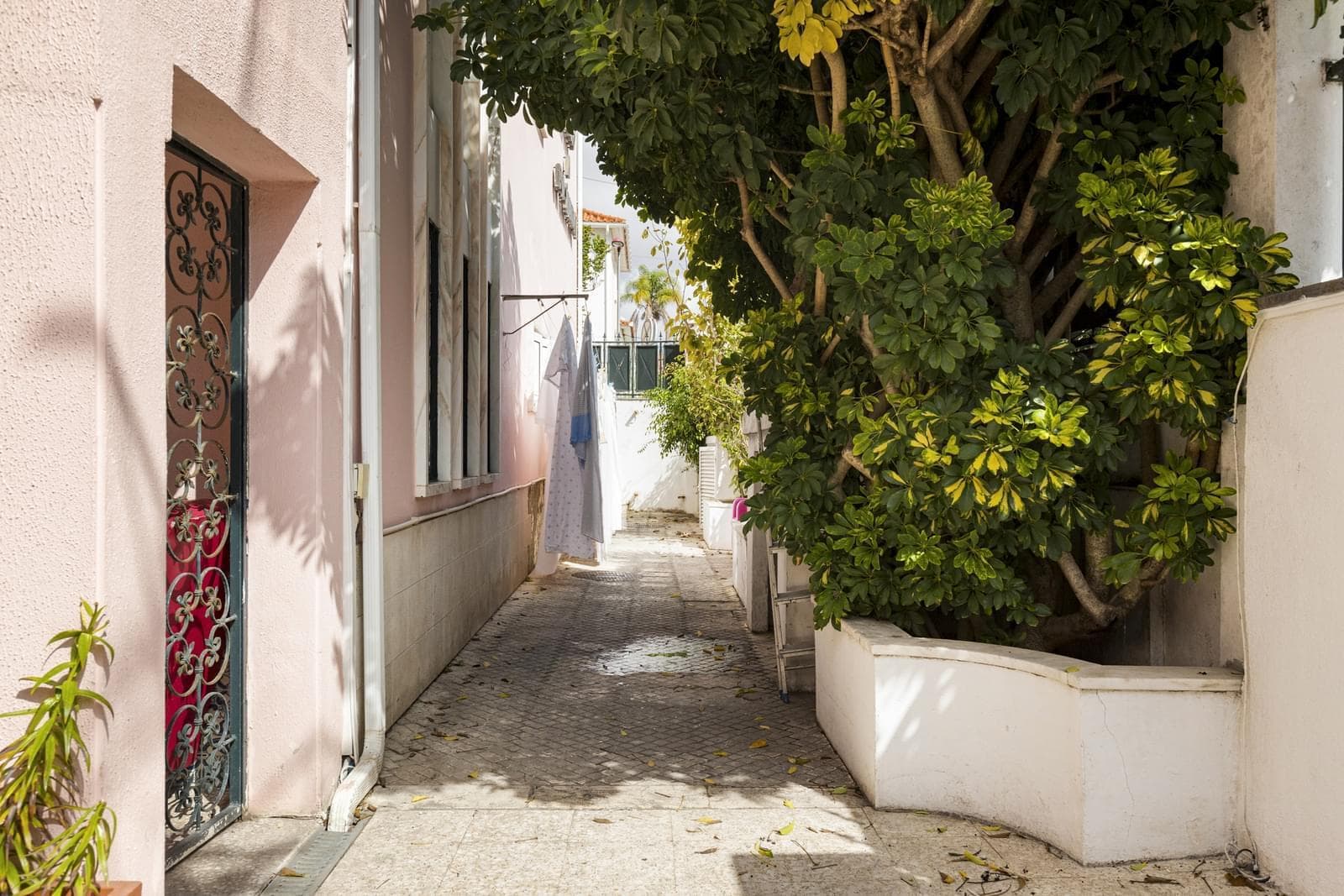 Maison normal 11 pièces avec jardin, Benfica, Lisboa - Image 10
