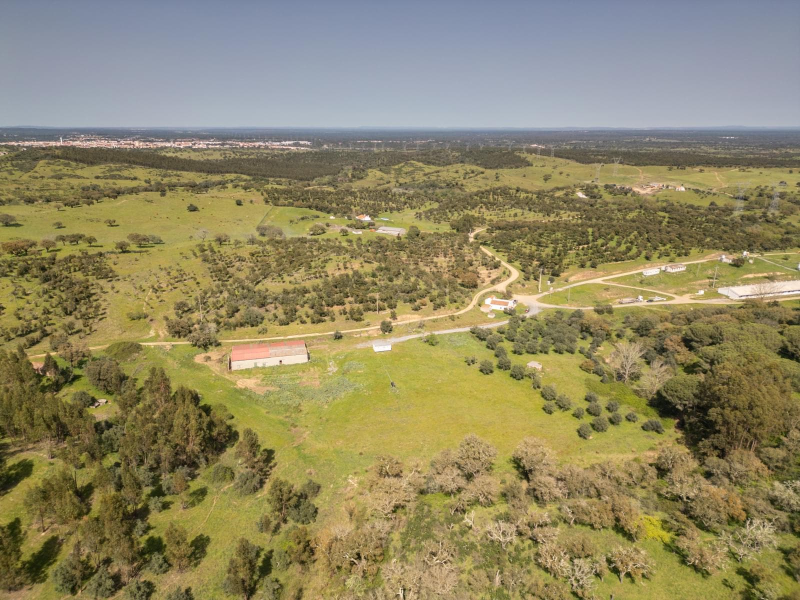 Quinta 40.6 ha, Grandola - Imagem 6