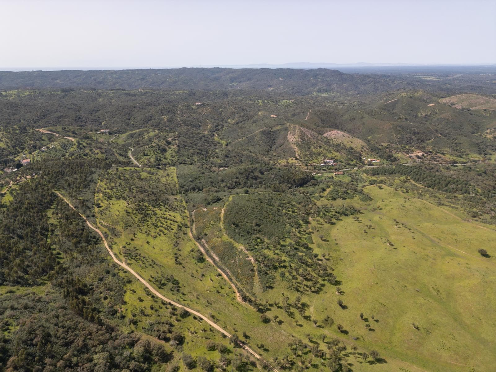 Quinta 40.6 ha, Grandola - Imagem 28