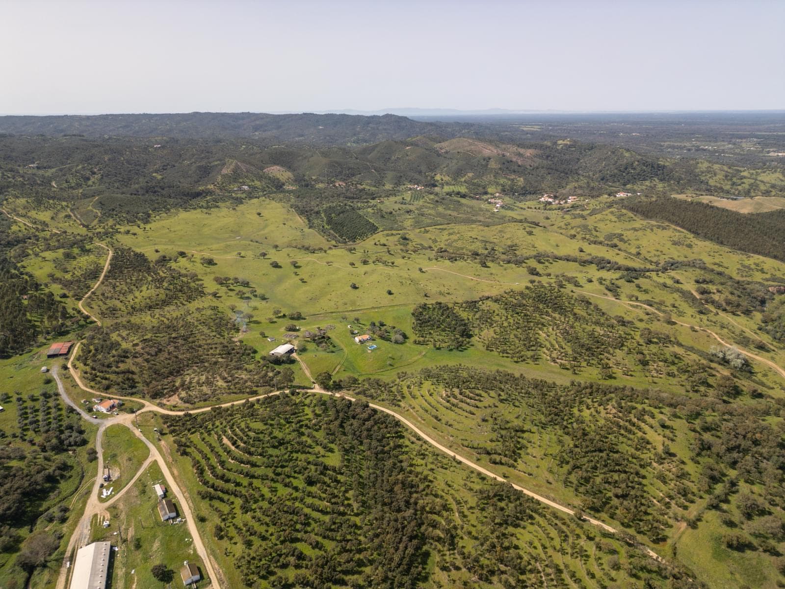 Quinta 40.6 ha, Grandola - Imagem 34