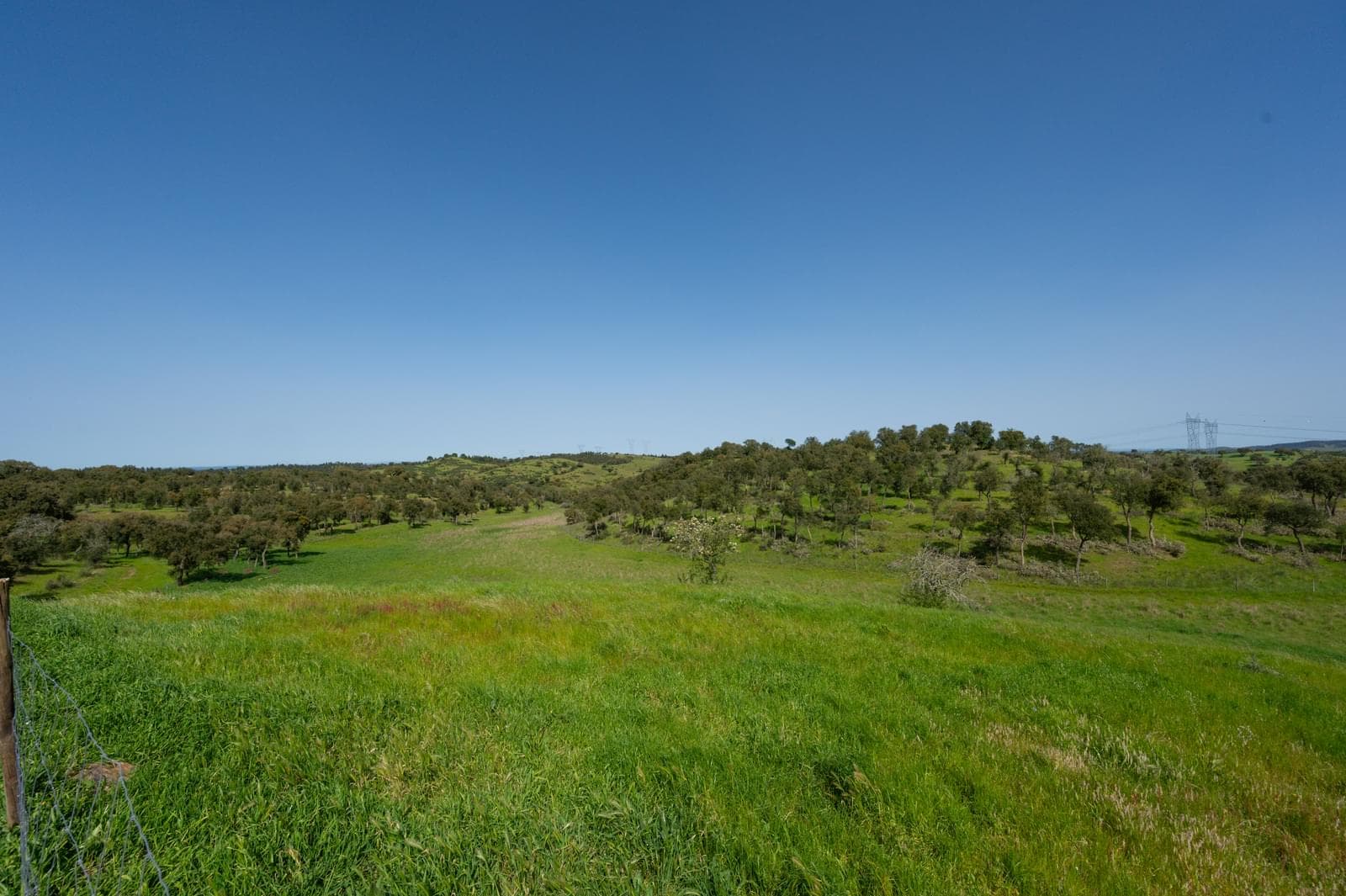Quinta 40.6 ha, Grandola - Imagem 38