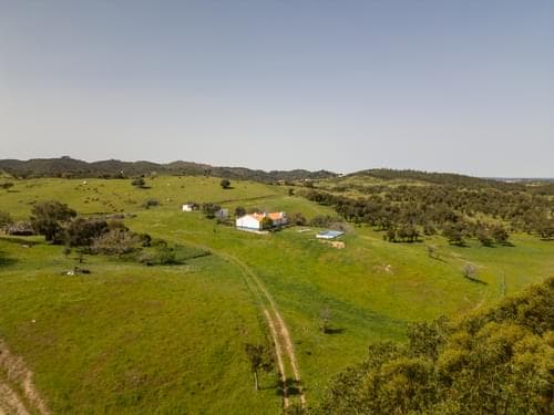PF36520 - Ferme 40.6 ha, Grandola - Image 2