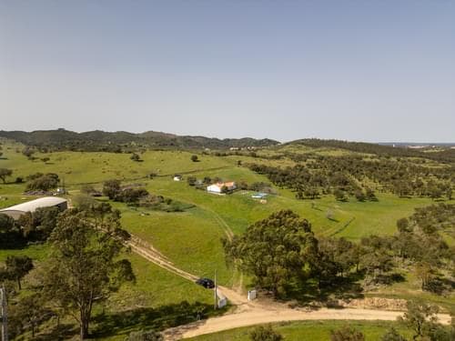 PF36520 - Ferme 40.6 ha, Grandola - Image 3