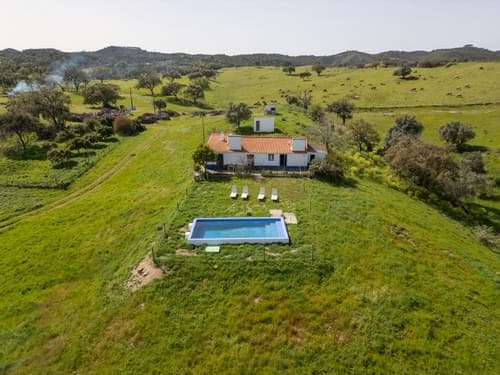 PF36520 - Ferme 40.6 ha, Grandola - Image 7
