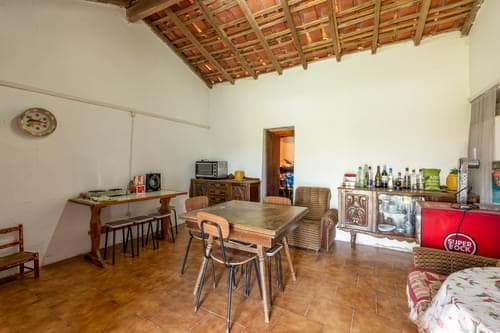 PF36520 - Ferme 40.6 ha, Grandola - Image 9