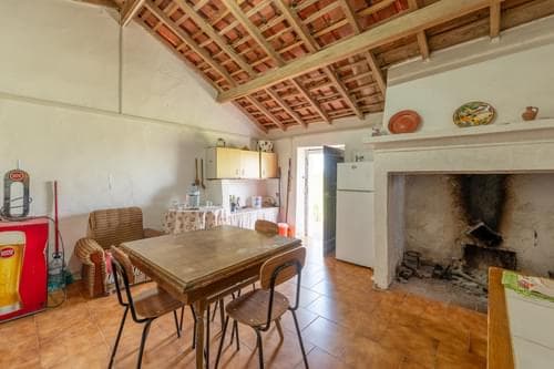 PF36520 - Ferme 40.6 ha, Grandola - Image 11