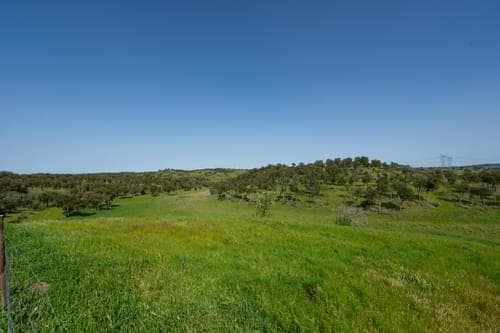 PF36520 - Ferme 40.6 ha, Grandola - Image 38