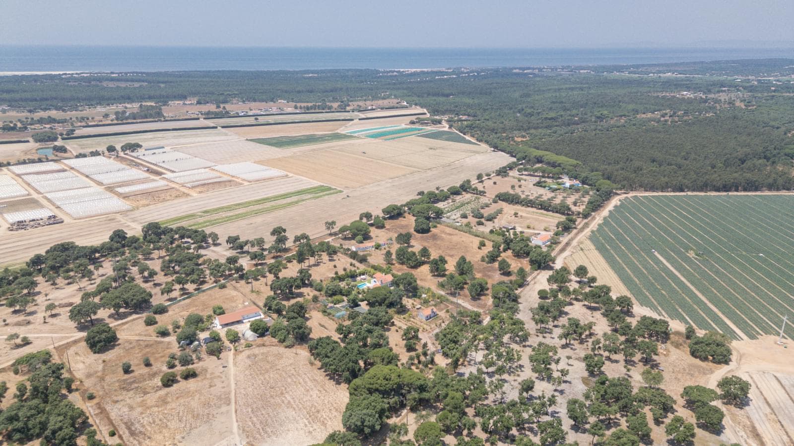 Farm 1.3 ha, Lagoa de Santo André, Santiago do Cacem - Image 25