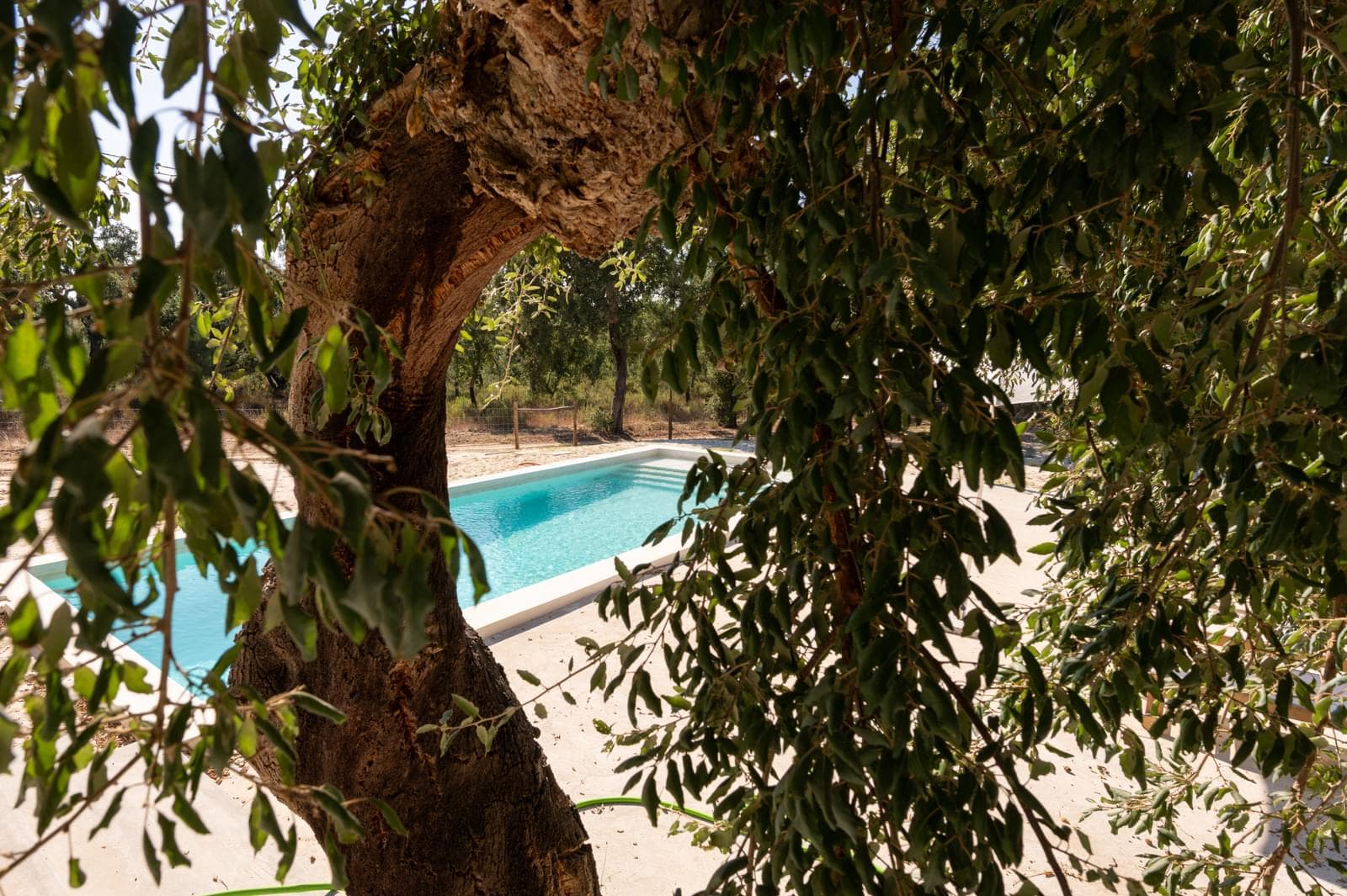 Moradia Isolada T3 com piscina, Melides, Grandola - Imagem 48