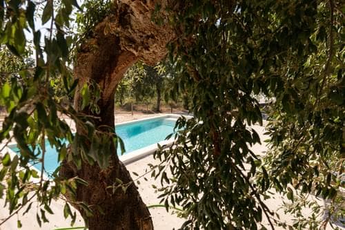 PF36581 - Moradia Isolada T3 com piscina, Melides, Grandola - Imagem 48