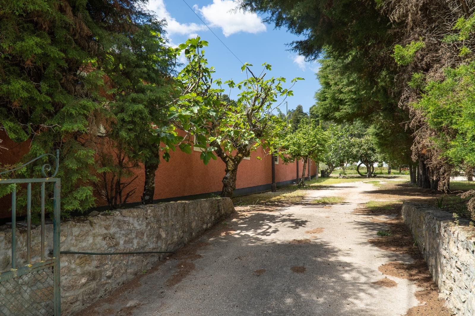 Quinta 7.1 ha, Miranda do Corvo - Imagem 51