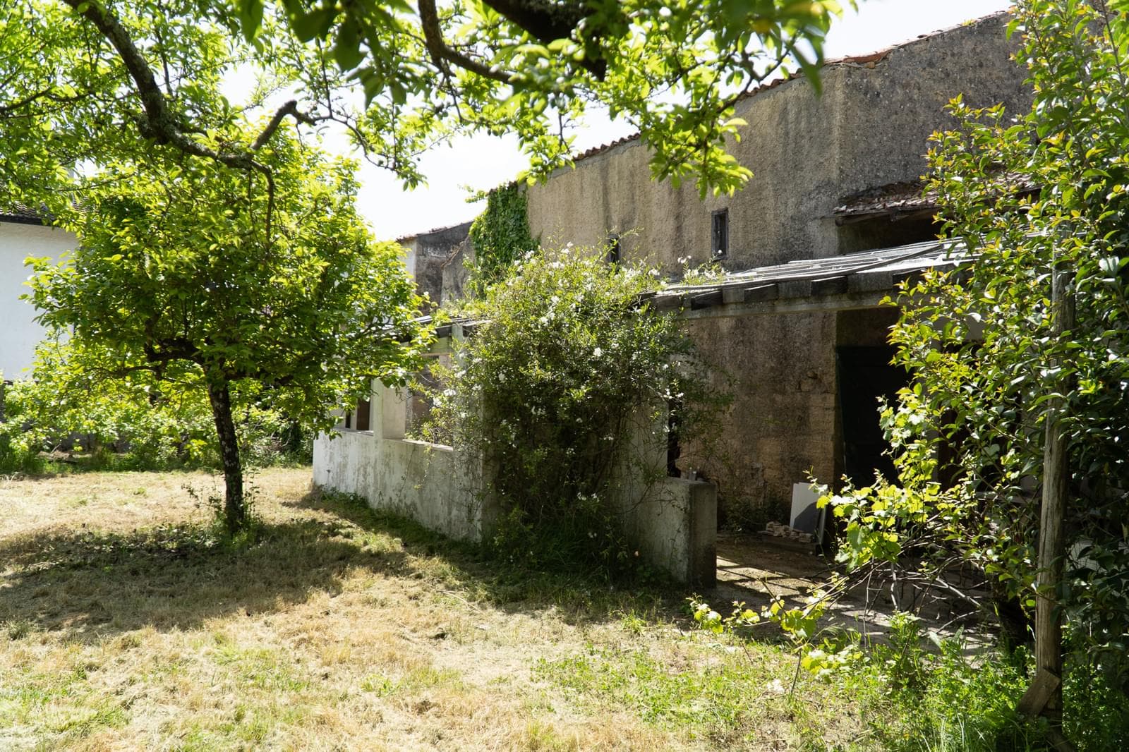 Quinta 7.1 ha, Miranda do Corvo - Imagem 77