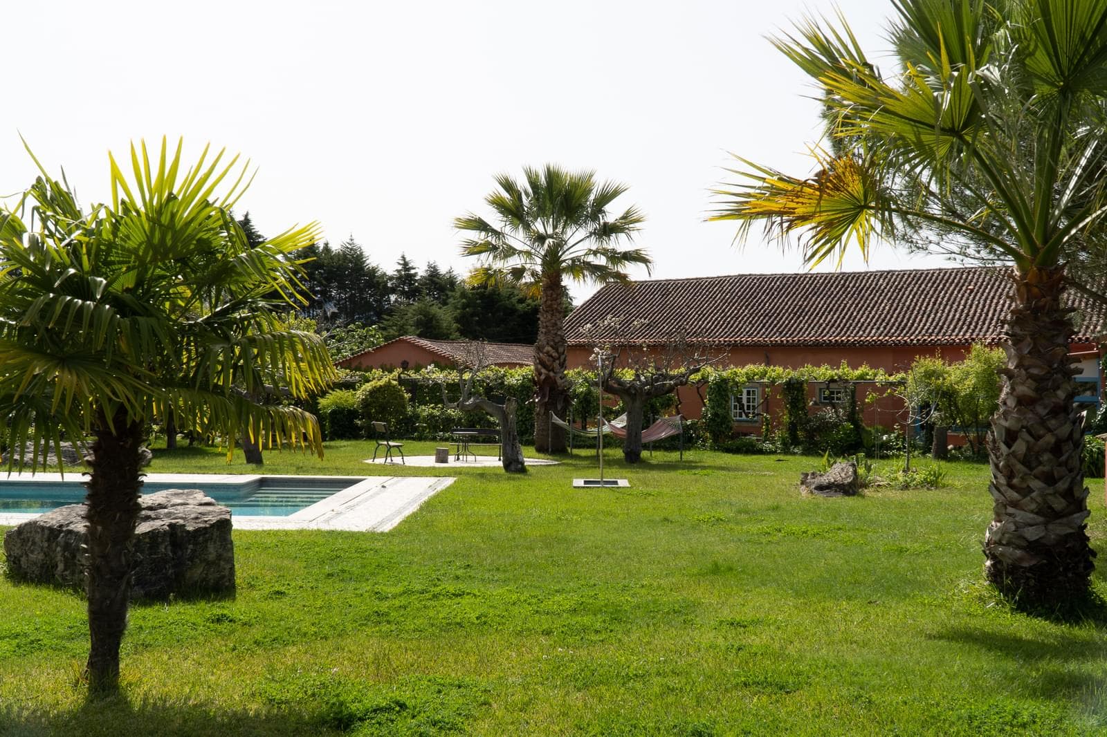 Quinta 7.1 ha, Miranda do Corvo - Imagem 52