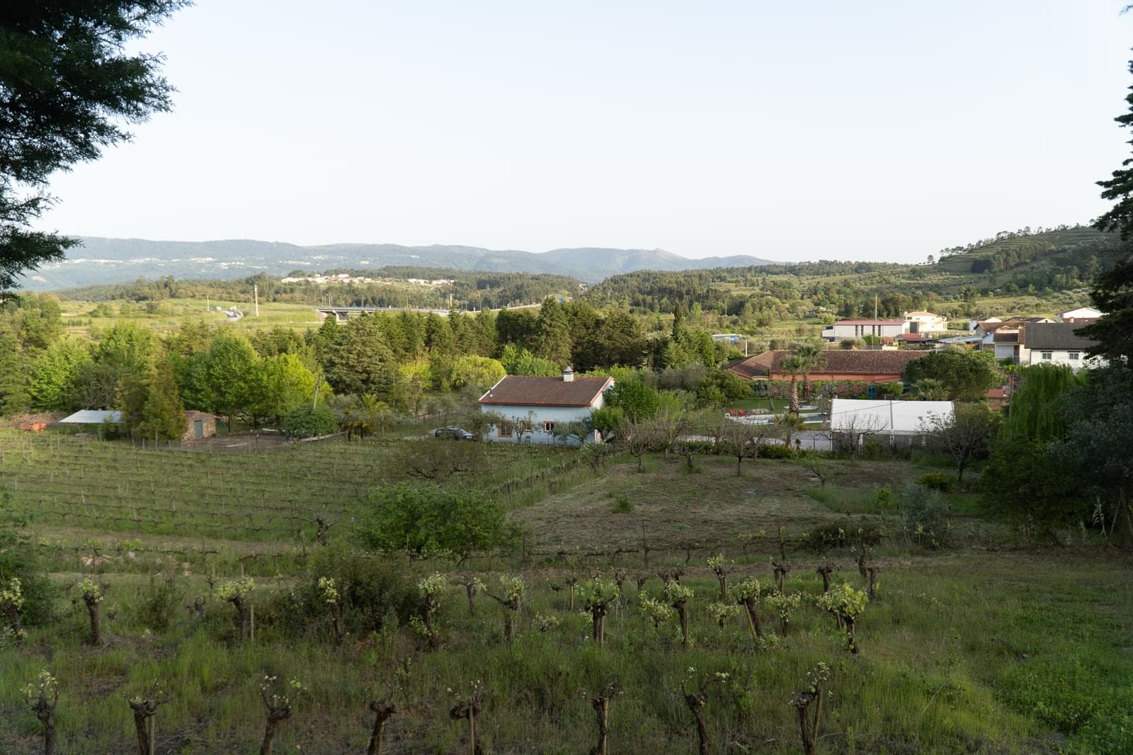 Quinta 7.1 ha, Miranda do Corvo - Imagem 65