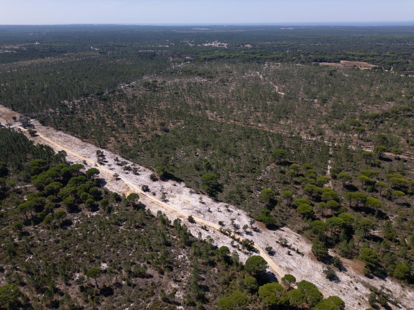 Terreno 9.4 ha, Muda, Grandola - Imagem 2