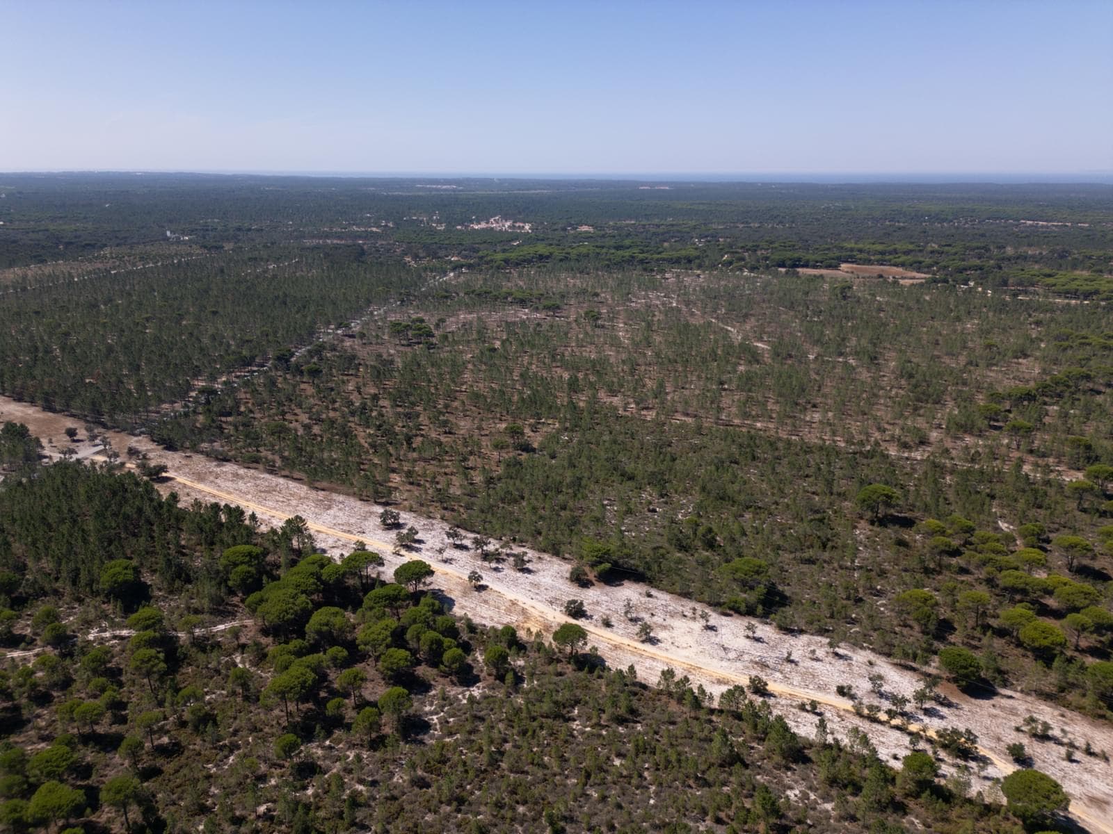 Terreno 9.4 ha, Muda, Grandola - Imagem 6