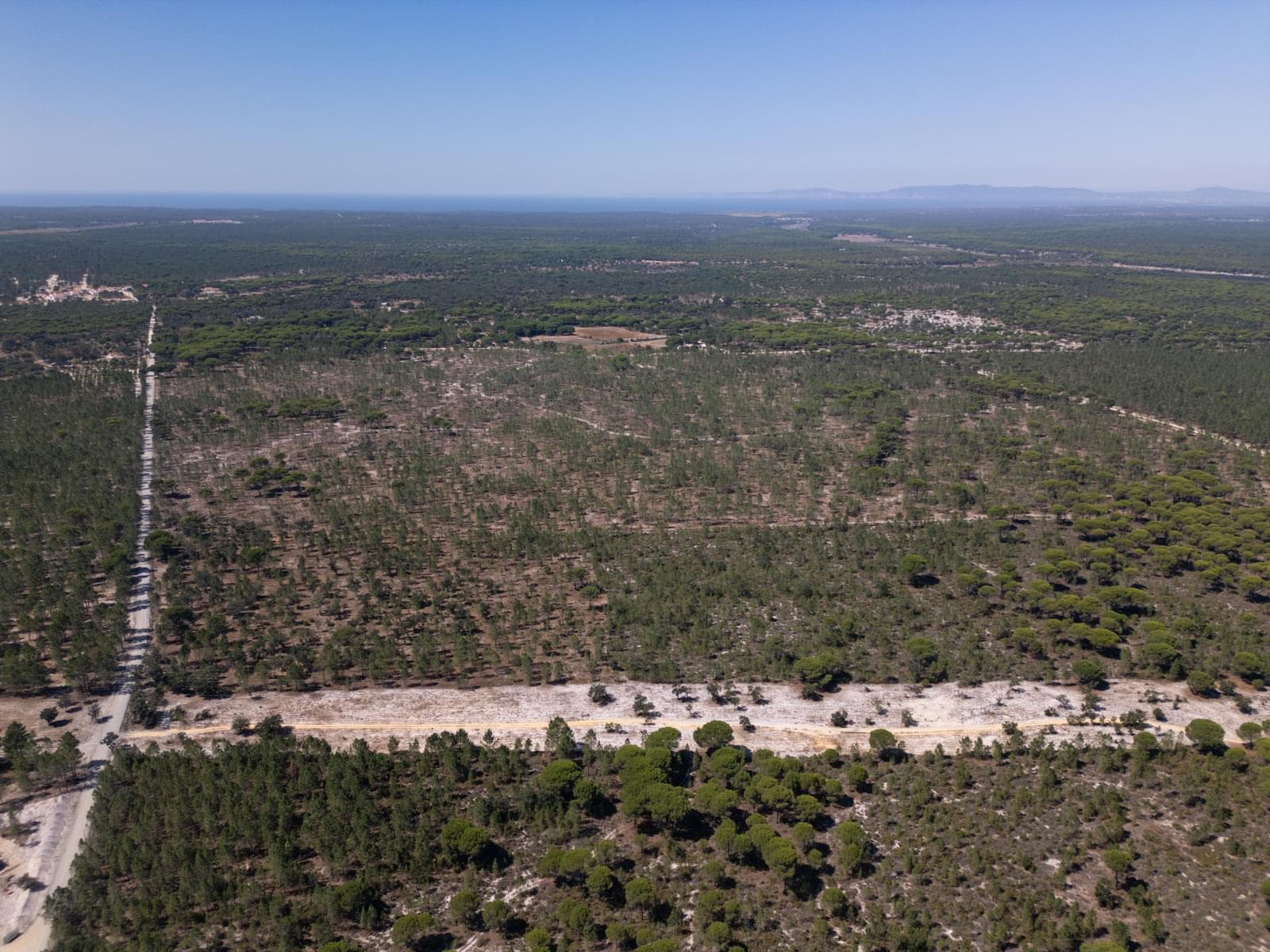 Terreno 9.4 ha, Muda, Grandola - Imagem 5