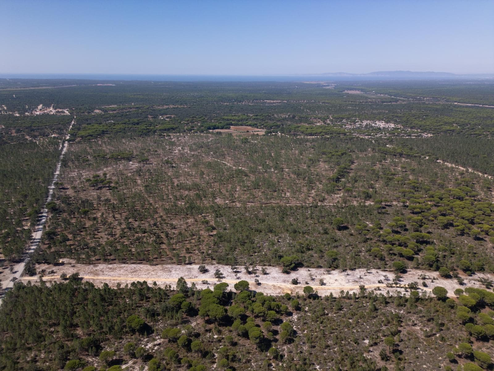 Terreno 9.4 ha, Muda, Grandola - Imagem 7