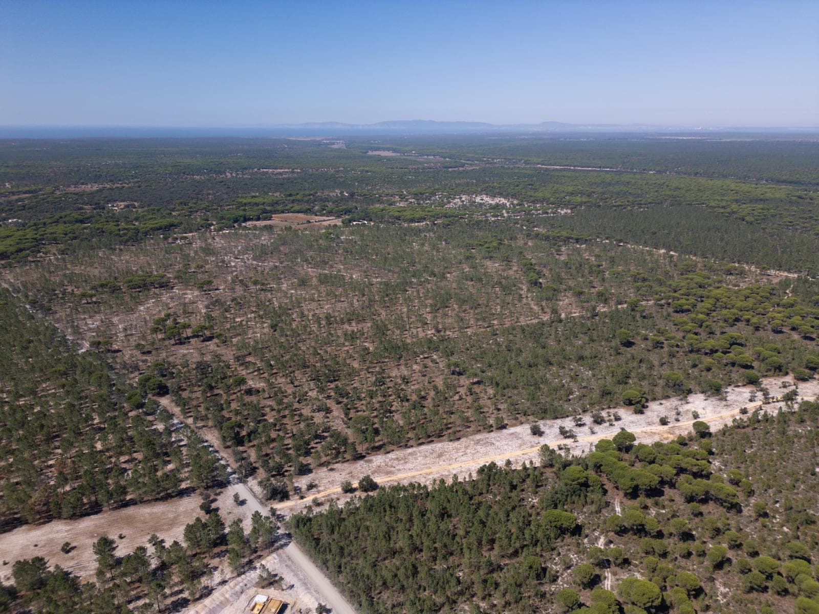 Terreno 9.4 ha, Muda, Grandola - Imagem 9