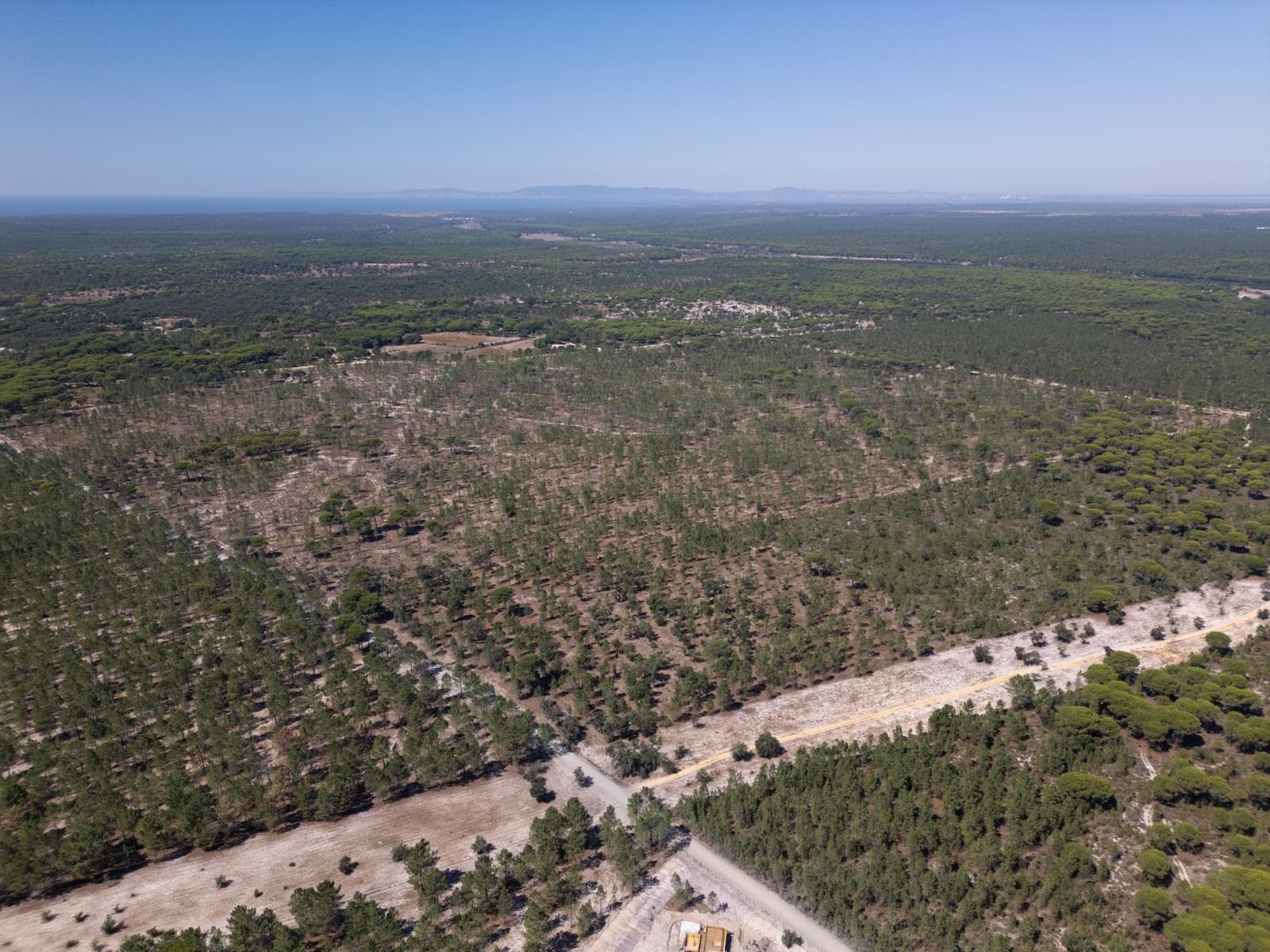 Terreno 9.4 ha, Muda, Grandola - Imagem 10