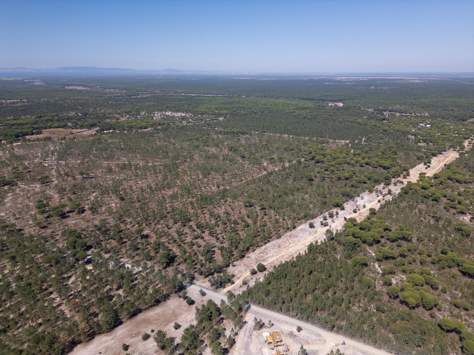 Terreno 9.4 ha, Muda, Grandola - Imagem 12