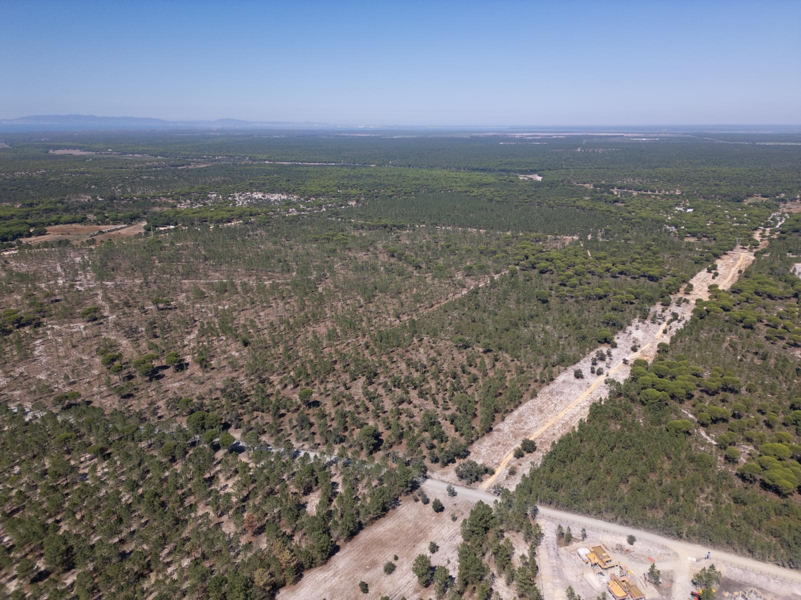 Terreno 9.4 ha, Muda, Grandola - Imagem 13